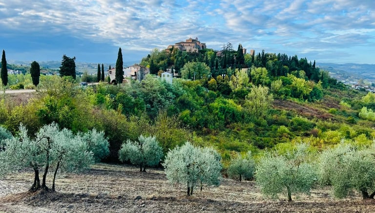 Scenic view of medieval Certaldo Alto hilltop town nestled in the Tuscan countryside with olive groves