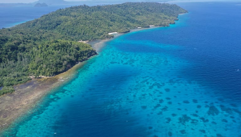 Aerial view of Malenge island surrounded by clear turquoise water and coral reefs.