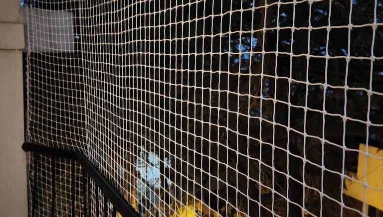 A balcony secured with fine mesh pigeon netting under a clear blue sky.