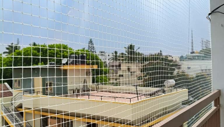 A happy dog safely looking out through a balcony enclosed with a strong safety net.