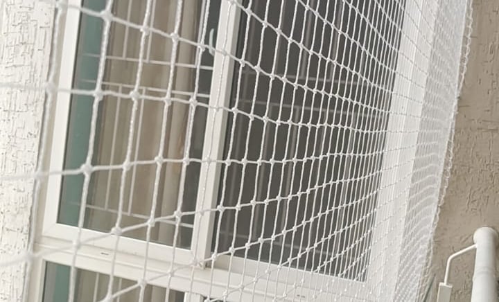 A bright window in Chennai fitted with a fine mesh pigeon net, sunlight streaming through.