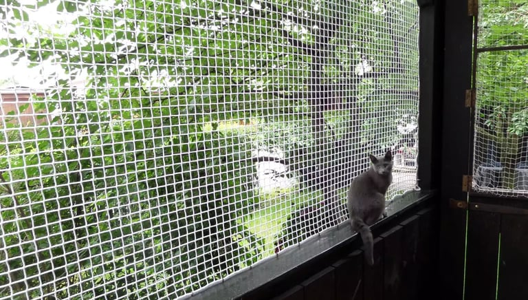 A curious cat looking out through a secure balcony safety net on a sunny day.
