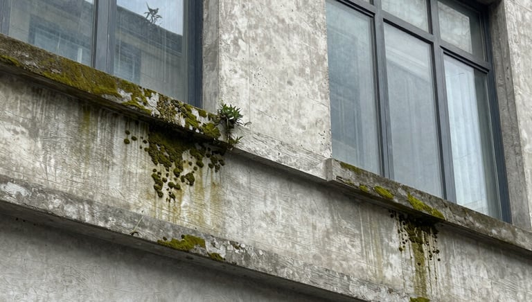 Close-up of a building consultant inspecting a property's exterior walls.