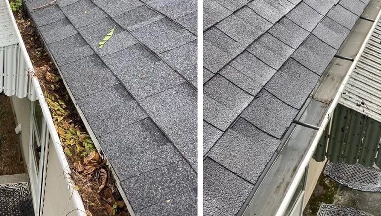 Gutter Cleaning