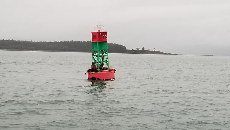 Navigation buoy with sea lions resting offshore in gray coastal conditions