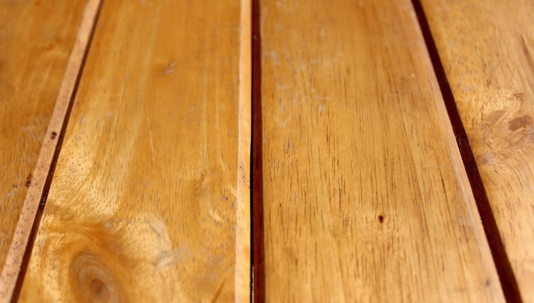 mice under floor boards