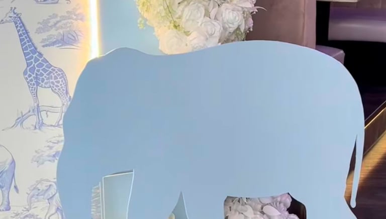 Elephant themed baby shower balloon backdrop in Liverpool
