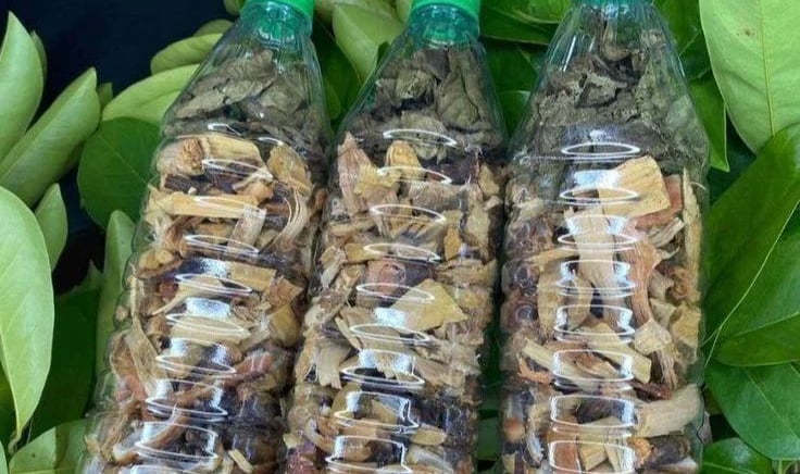 Prophet Pito at Kyaka shrine,” “African healing herbs”