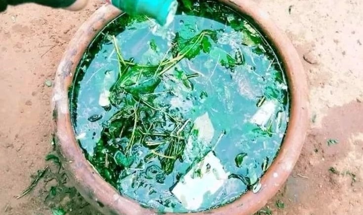 Prophet Pito at Kyaka shrine,” “African healing herbs”