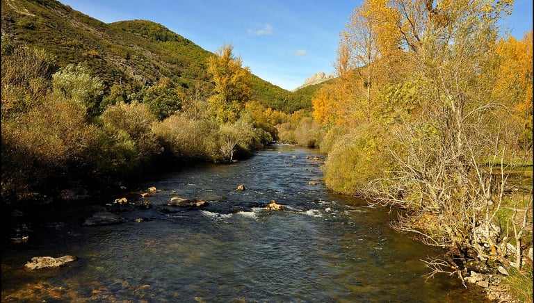 Río Porma en León. Río pesquero
