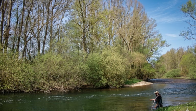 Pescador pescando en el Río Porma en León