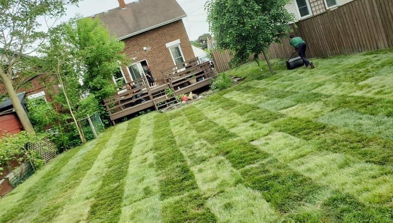 Landscaping and Lawn Care by TN Professional Services