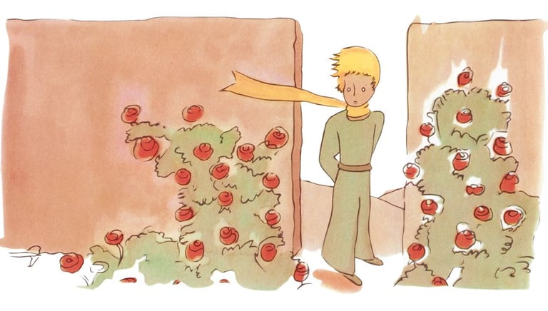illustration du petit prince dans la roseraie