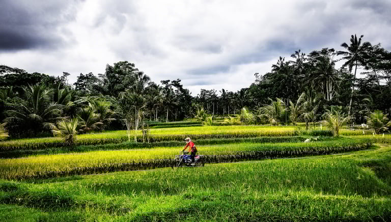 dirt bike tours Bali