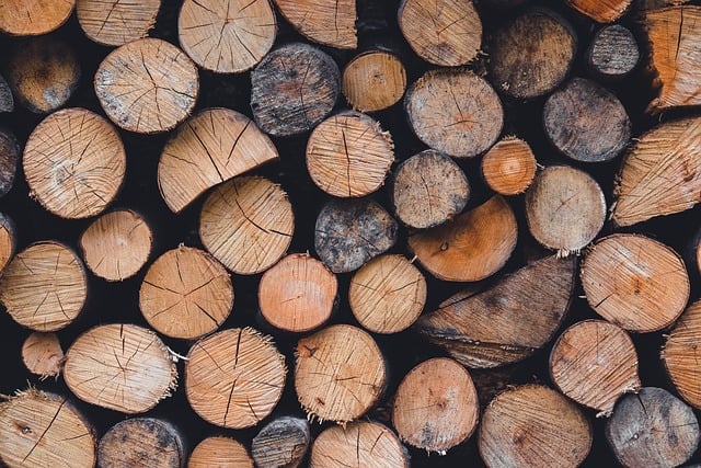 plusieurs rondins de bois