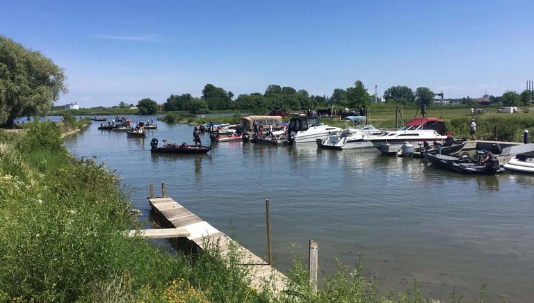 Various motorboats and fishing boats docked at a marina on a sunny day with a wooden pier.