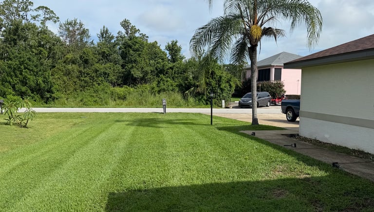 Expert landscaping and yard clean-up services in Sebring, Florida by Threefold