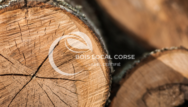 un tas de bûches de bois avec une découpe circulaire dans le bois