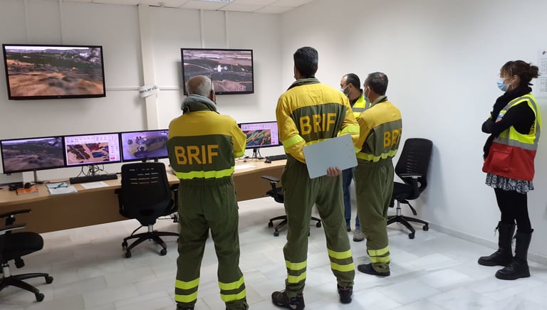 Diseño e implementación de formación estandarizada en Factores Humanos en Incendios Forestales