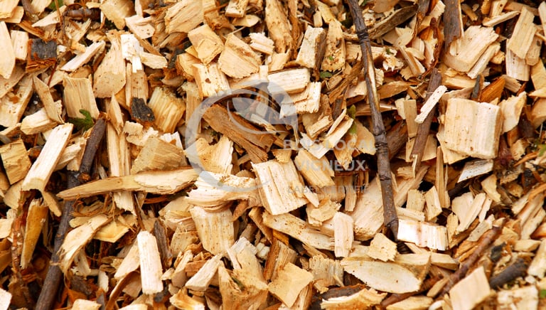 gros copeaux de bois