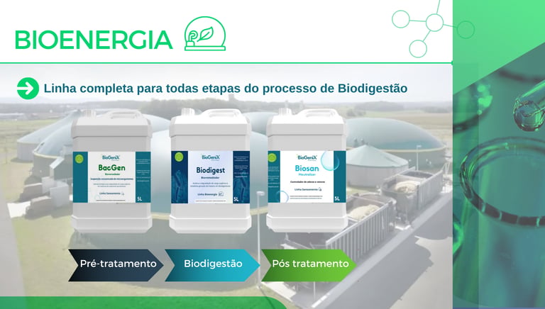biodigestores; bioenergia