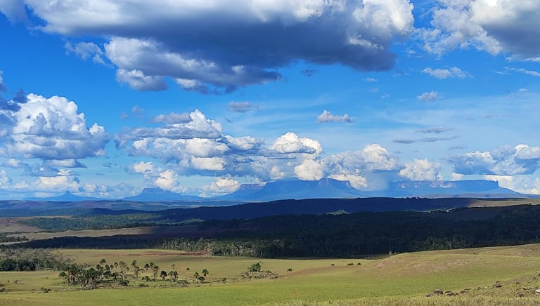 Vue sur les Tepuy de la Gran Sabana