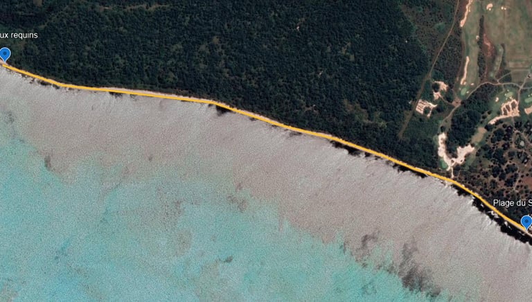a map of a beach with a yellow line of blue and green