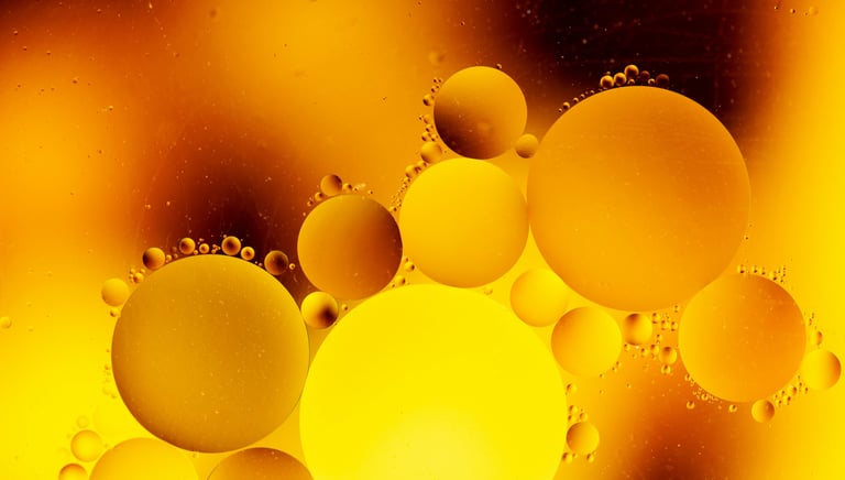 Photo de Solen Feyissa