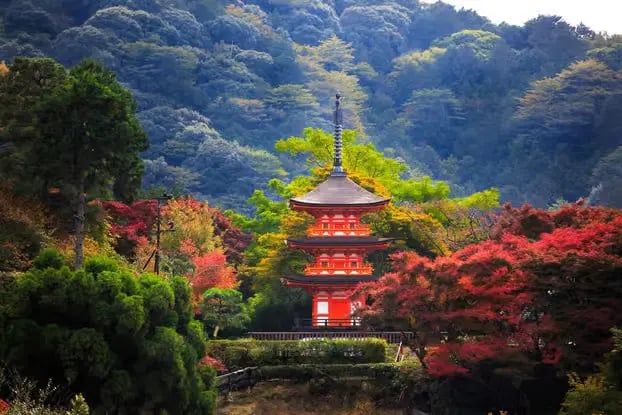 Scenic red pagoda nestled in Kyoto mountains with autumn colors, private tour destination.
