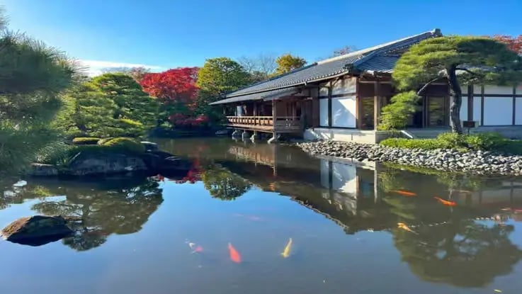 Traditional Japanese pavilion reflected in koi pond with autumn foliage in Kyoto
