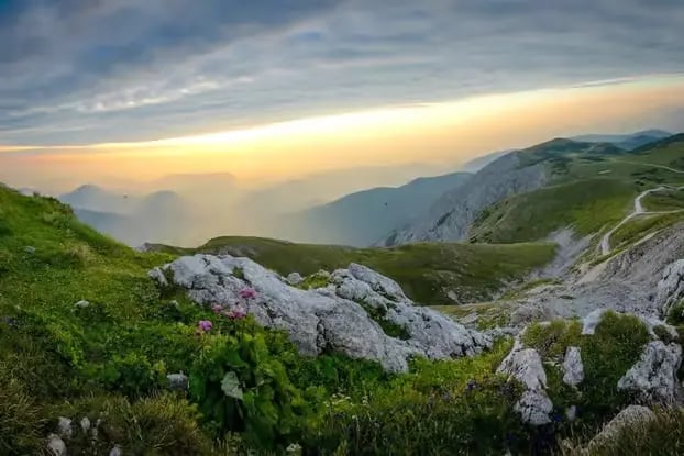 Nordkette panoramic views at sunset with pink wildflowers blooming on alpine meadows during spring hike in Innsbruck Austria