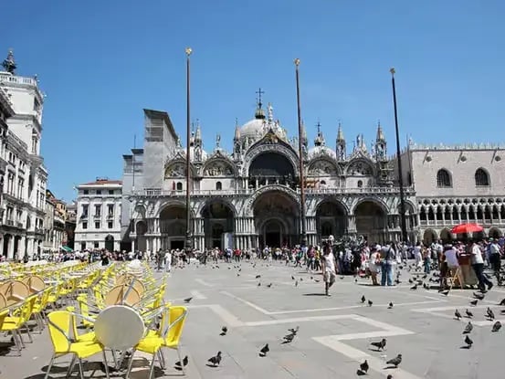 Tourists and pigeons at St. Mark's Square in front of the historic St. Mark's Basilica.