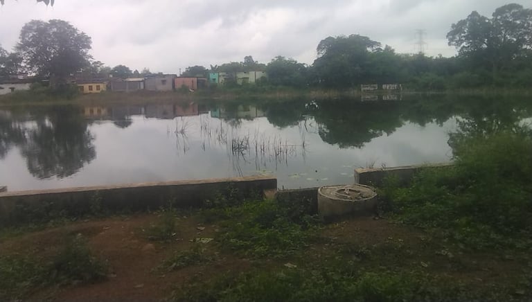 pond