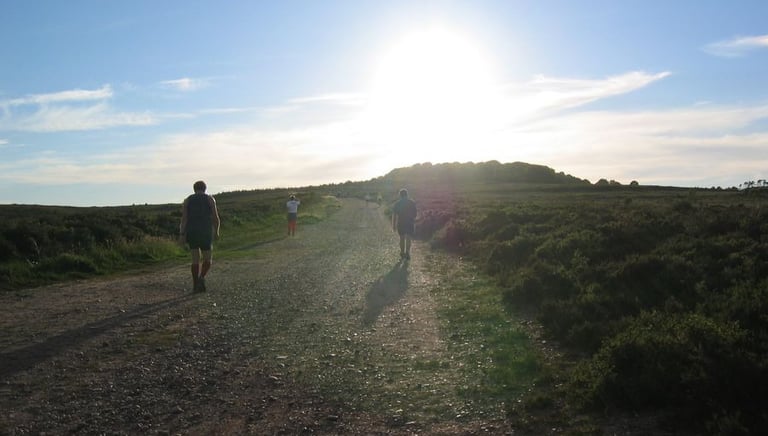 Runners heading into the sunset