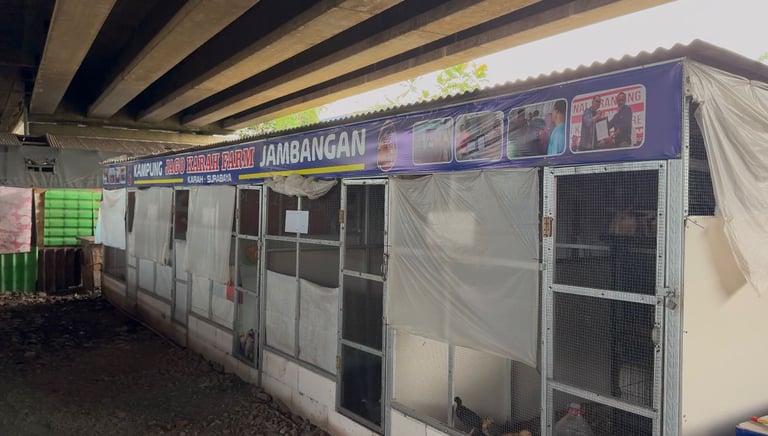 Foto Kandang Bawah TOL