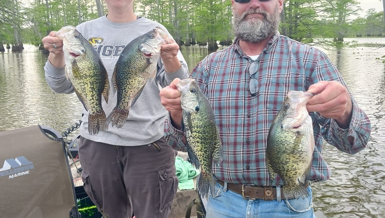crappie fishing guide