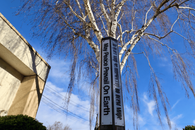 A White and black Peace pole with the word "May peace prevail on earth under a bright blue sky and the birch tree.
