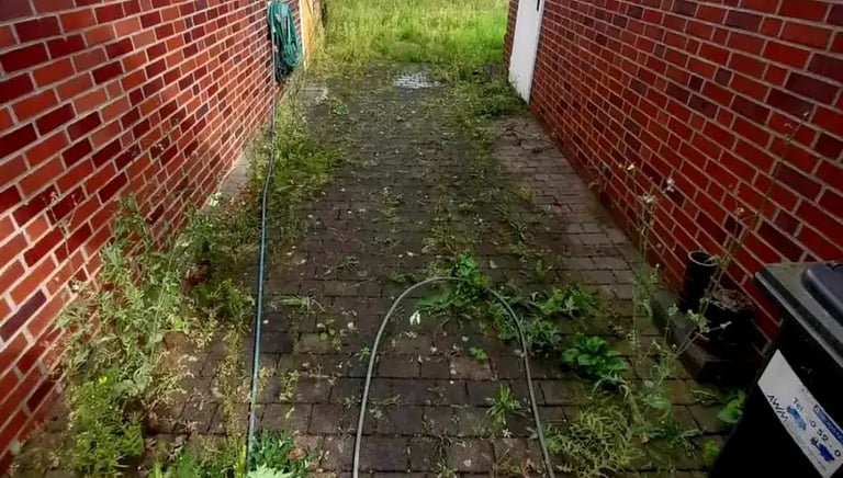 Vorher-steinreinigung-Franz-in-Muenster