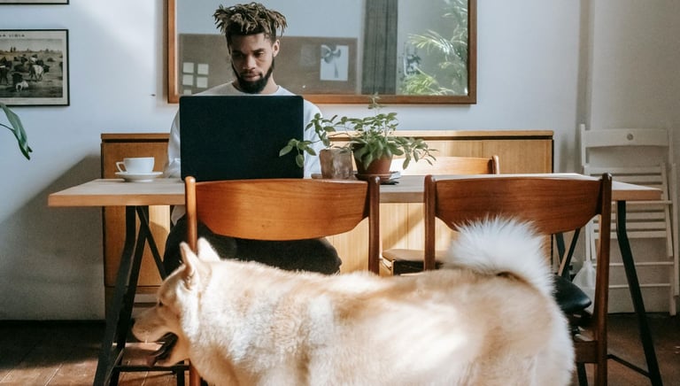 homme et chien à domicile