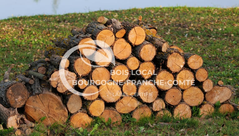 une pile de bûches avec une pile de bûches dans l'herbe