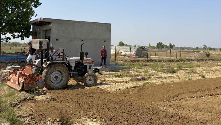 cultivating crops at panipat organica