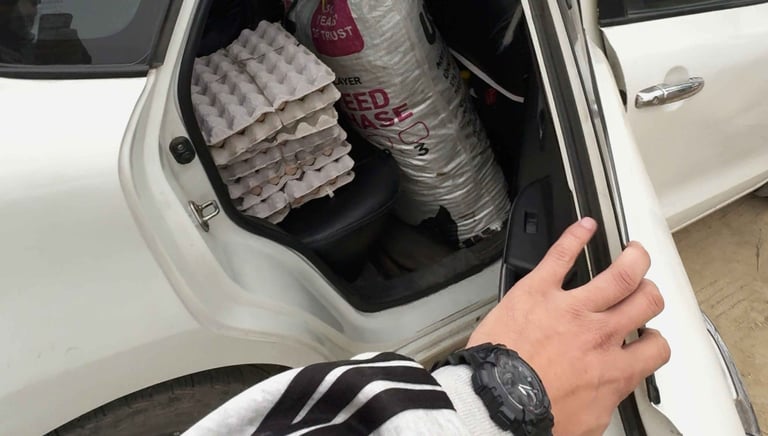 Fresh eggs are delivered to customers