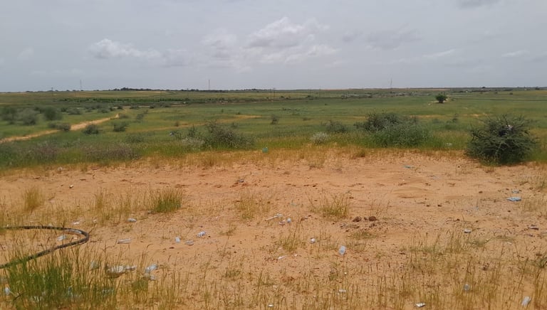 Vue d'ensemble du domaine de Dhraa