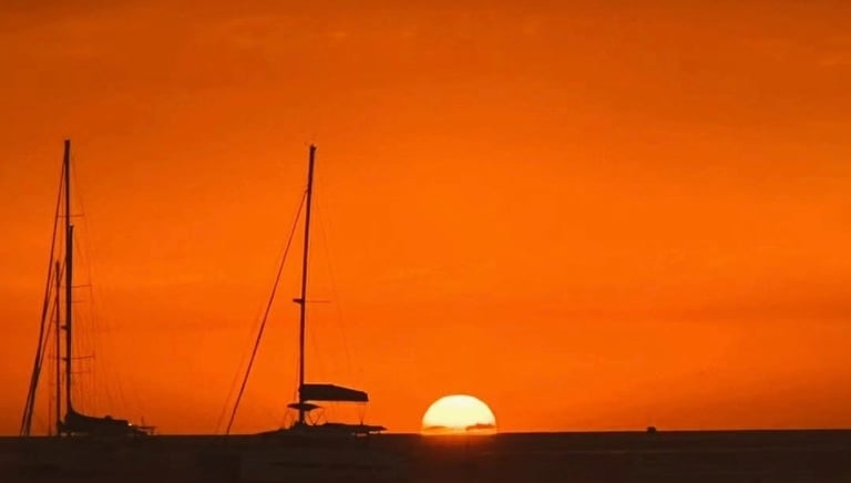 A vibrant orange sunset over the ocean horizon with silhouettes of sailing yachts on the water.
