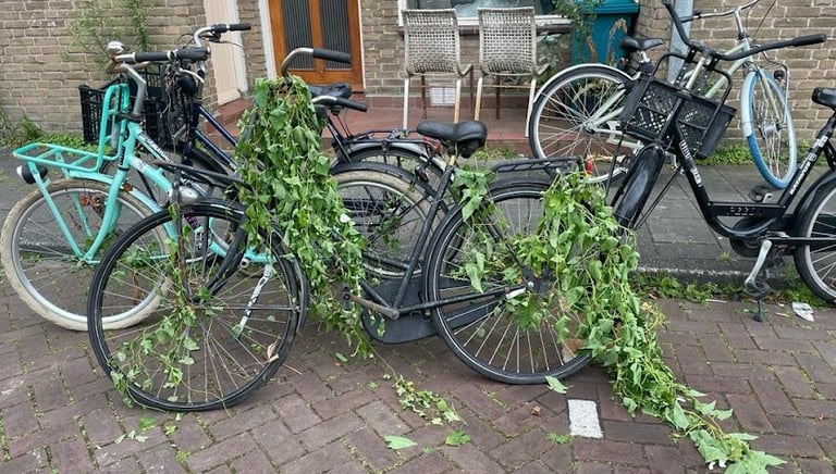 Fietsen in Amsterdam klaar voor reparatie