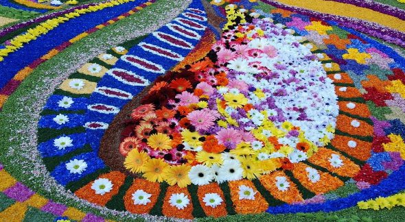 Vibrant floral carpet with intricate mosaic designs using colorful gerbera daisies and petals.