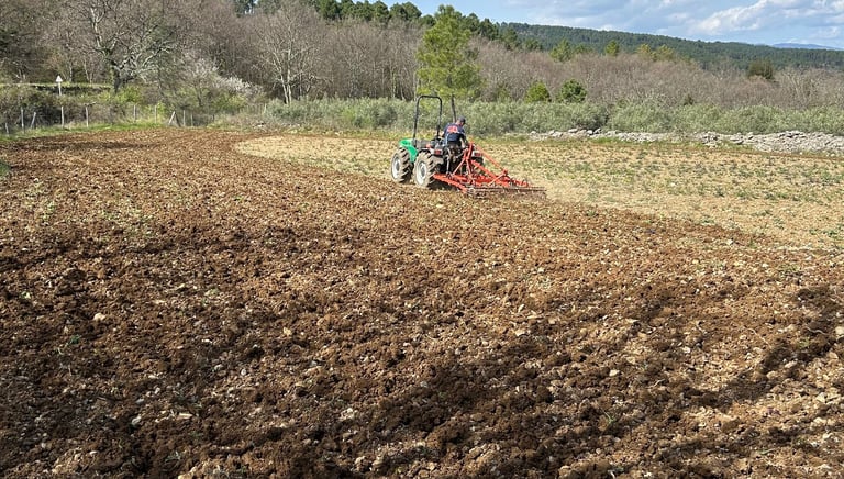réalisations de M.R.S