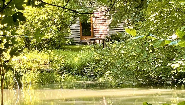 Chalet eau vacances foret nature chevaux nevers nièvre