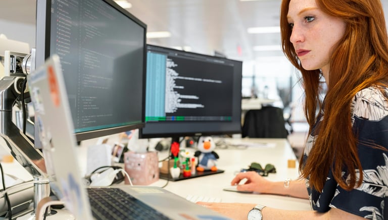 Web Development