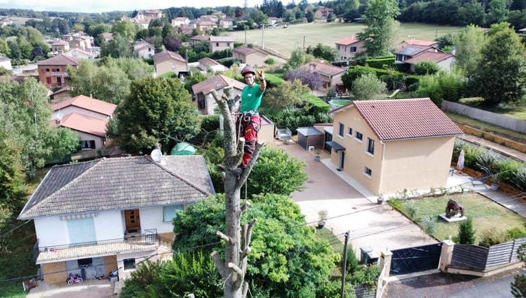 un homme grimpe à un arbre dans un quartier résidentiel à Lyon